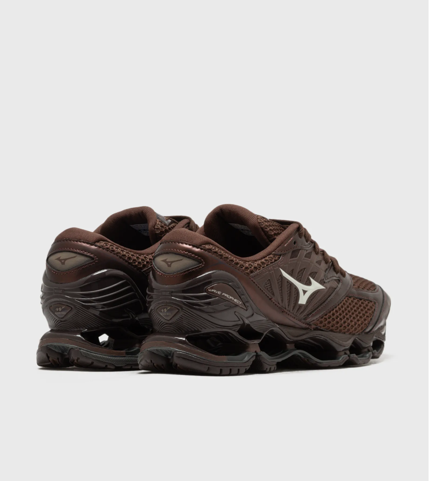 WAVE PROPHECY LS CHICORY BROWN/BLACK